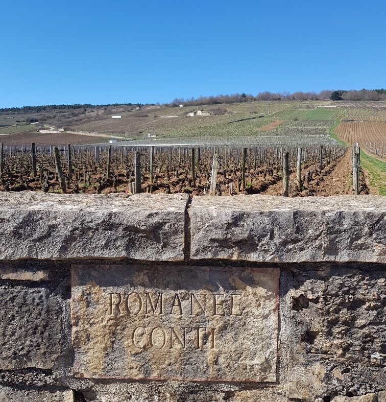 Een bezoek aan de beroemdste wijngaard ter wereld ''Romanee Conti"